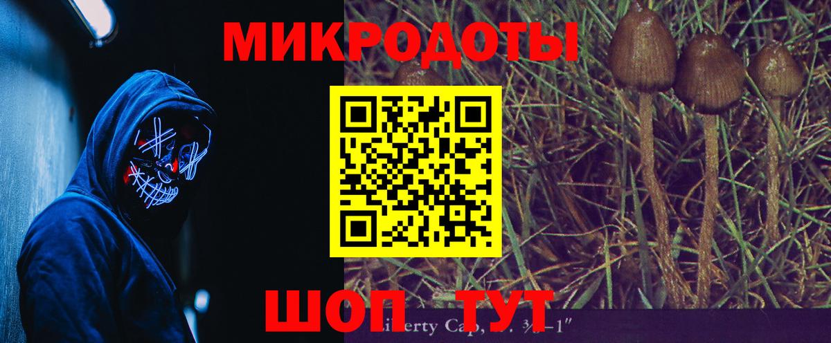 Псилоцибиновые грибы прущие грибы  Вход с VPN  Чернушка  Псилоцибиновые грибы мицелий 